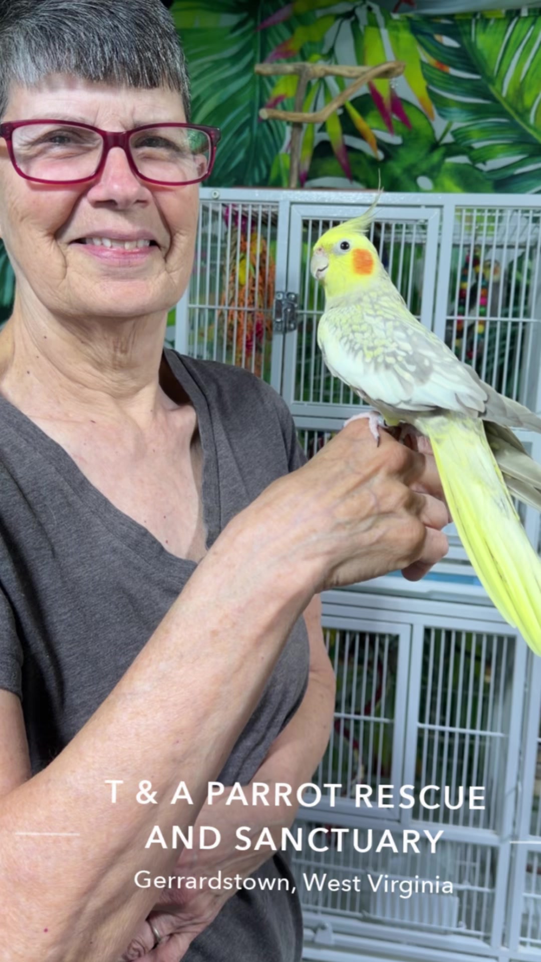 @CrystalParrot🦜💜🦜🍪🍨
