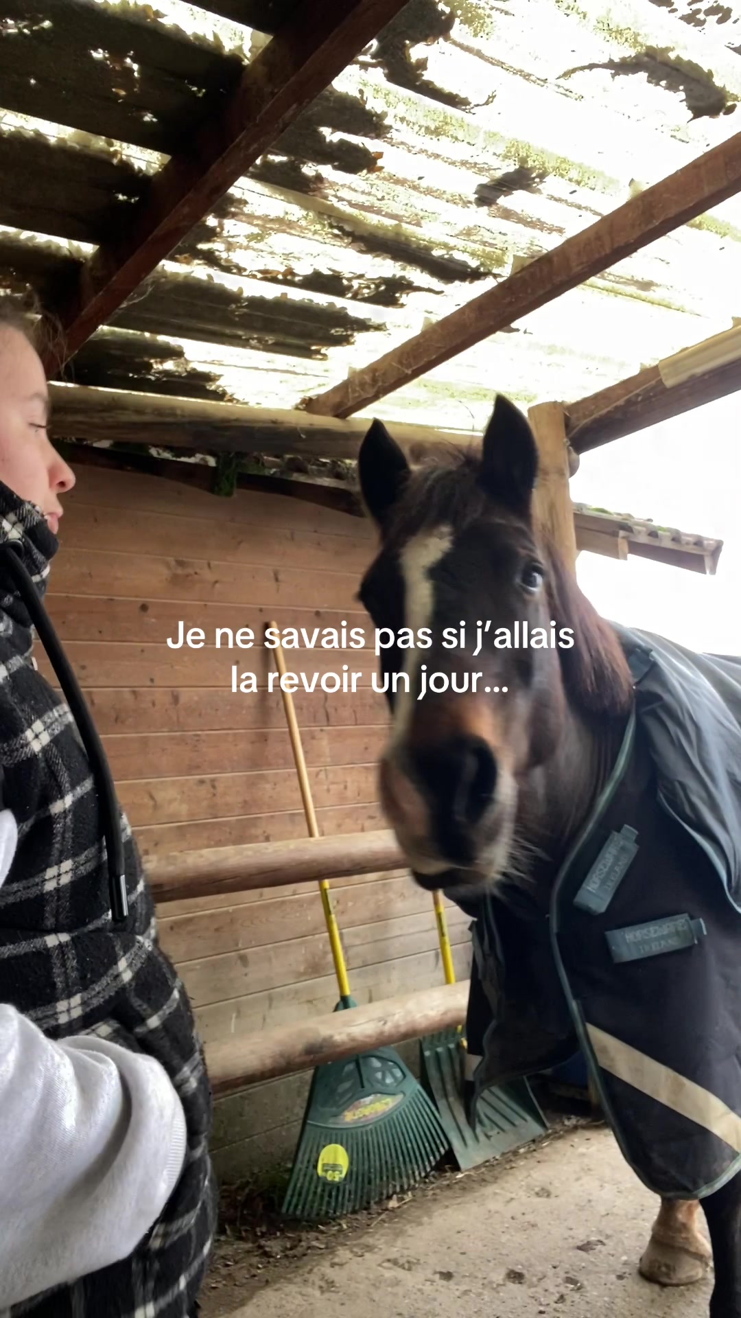 @Seren the pony ๐ด