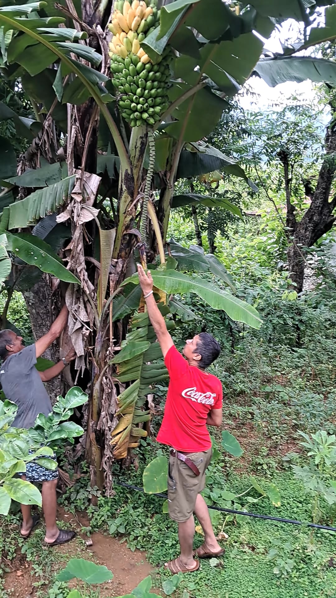 @chandika mainali