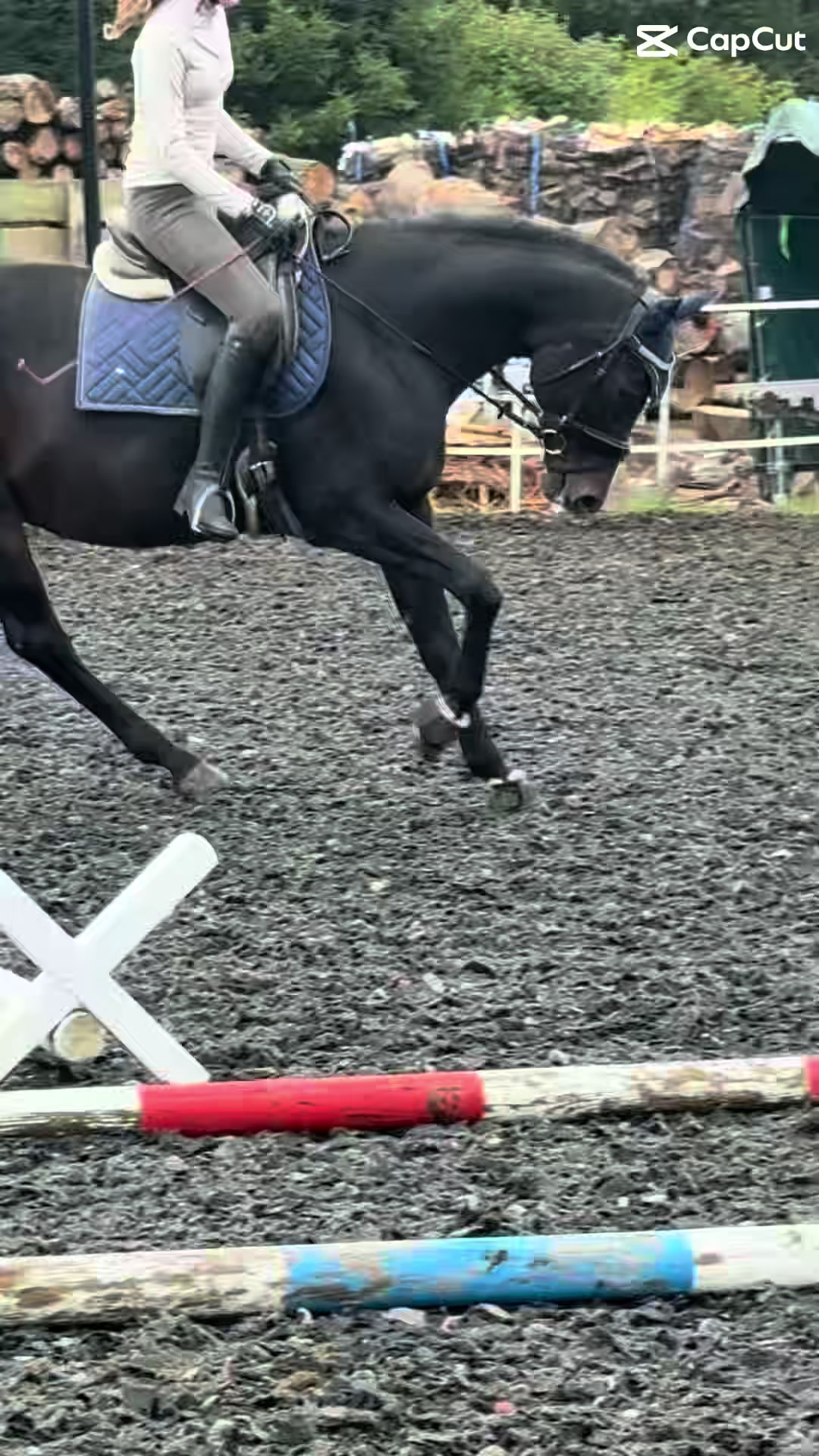 @herzenspferd_lucie❤️🥹