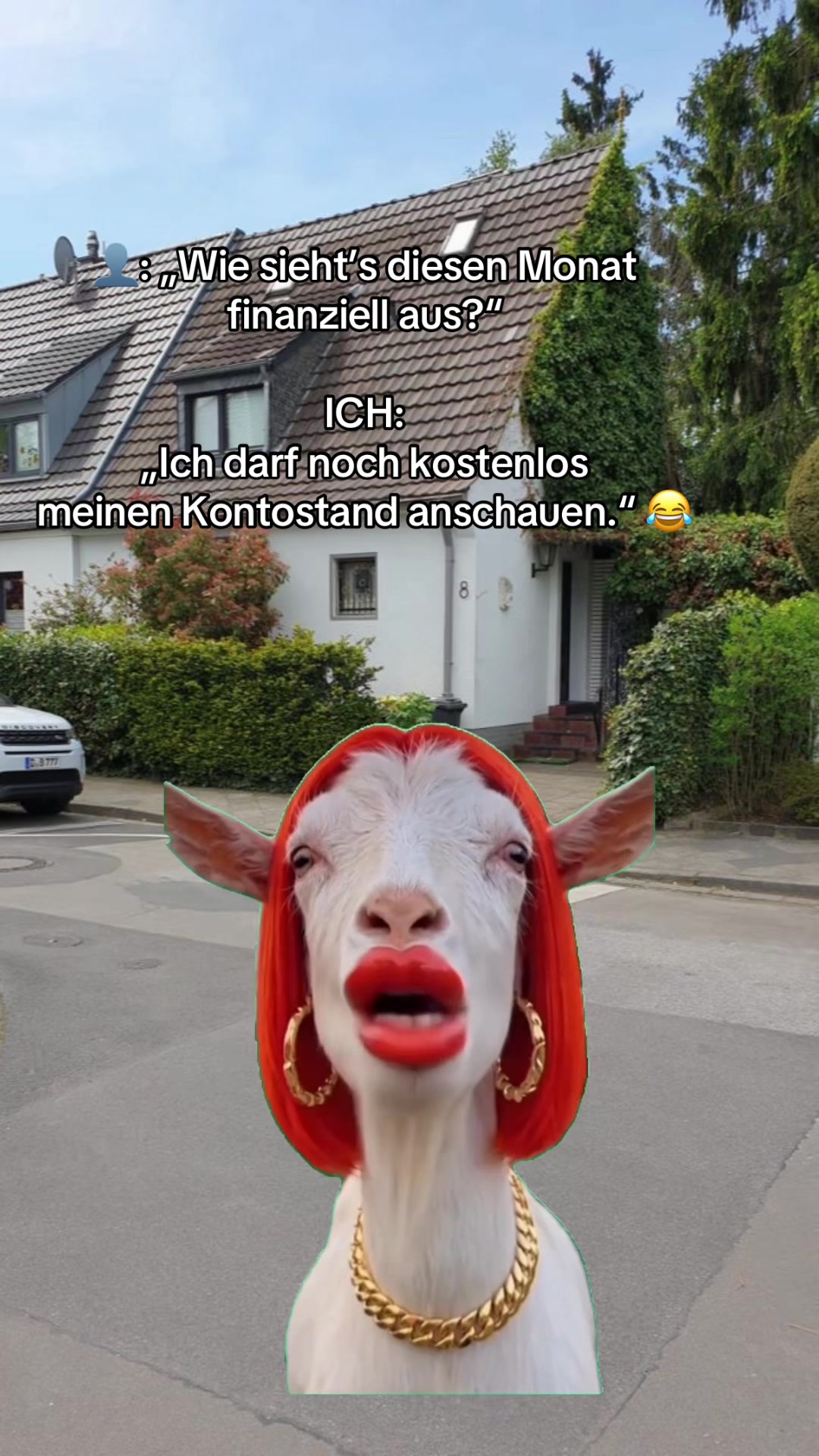 @mauskontert