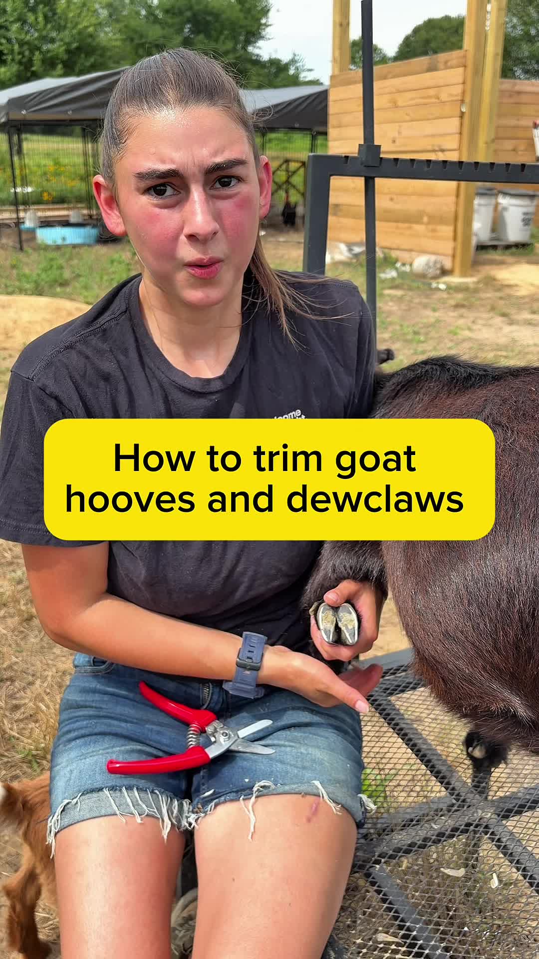 @Heart & Hoof Homestead