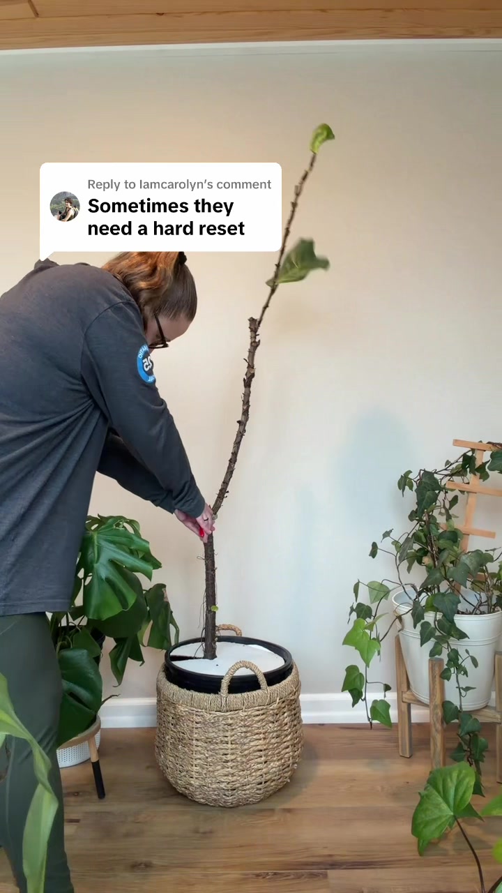 @Plantpusherr