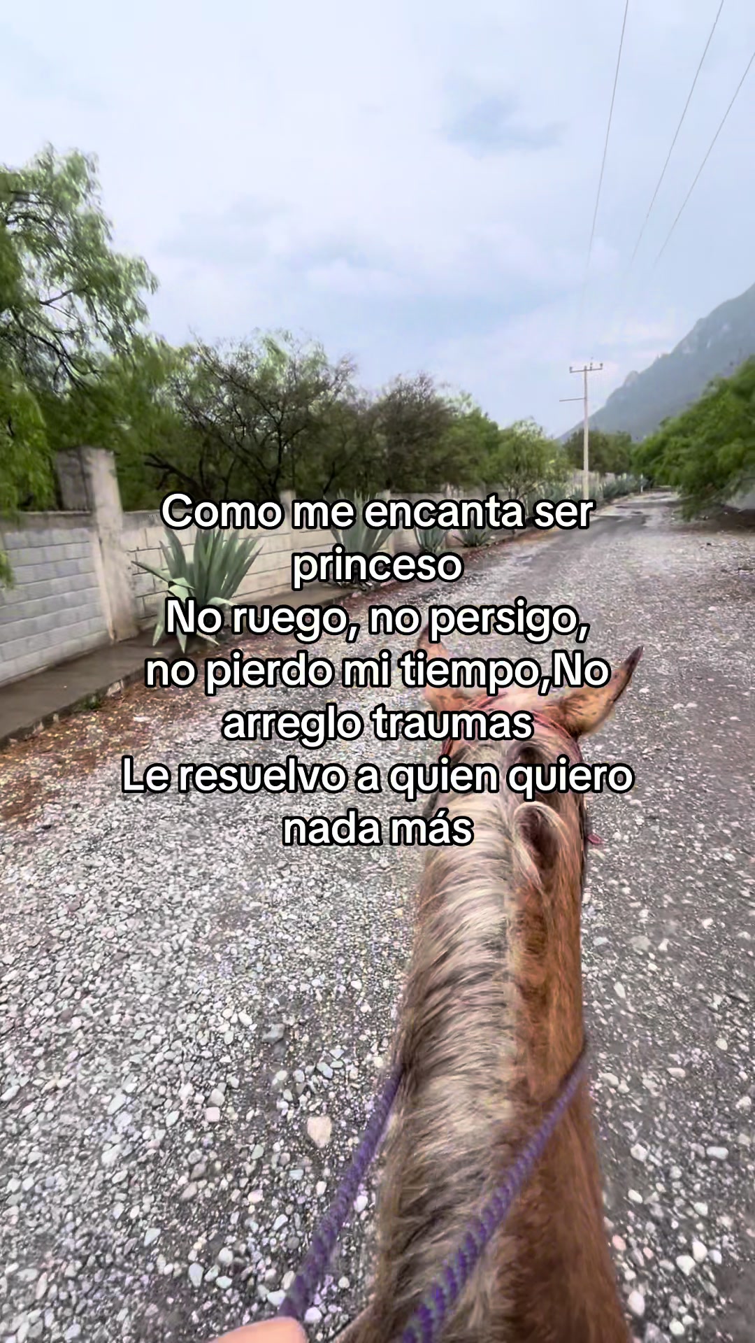 @El Wero Garc&iacute;a🤠🇲🇽