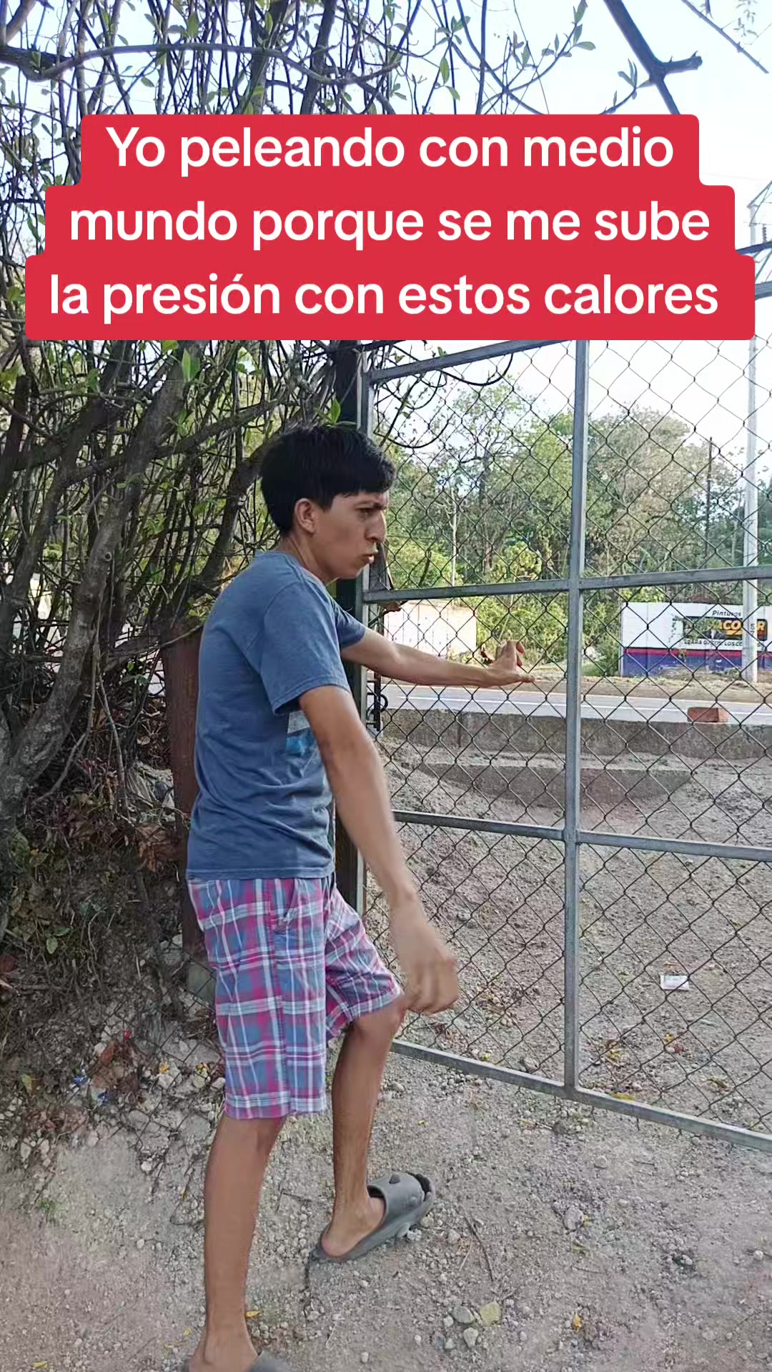 @Tonny Torres