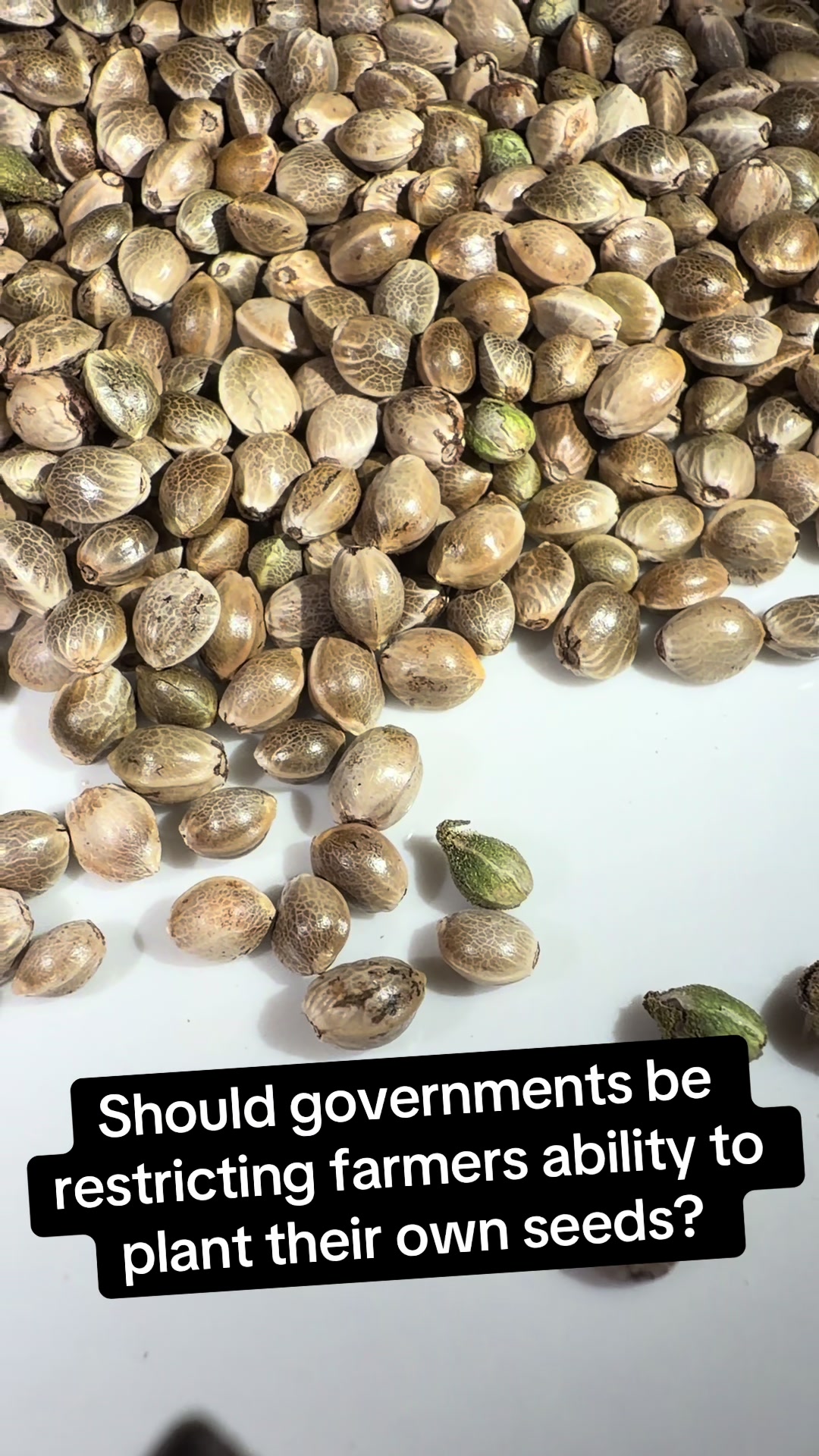 @SEEDTIVA