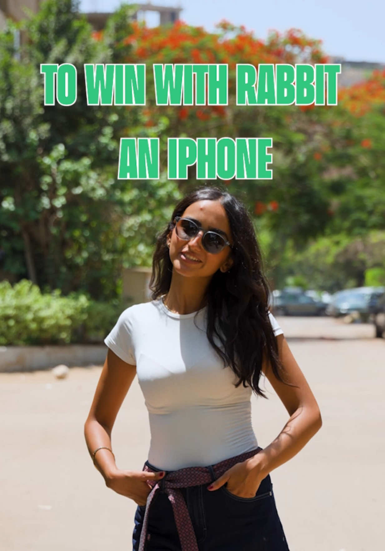 @Rabbit Mobility