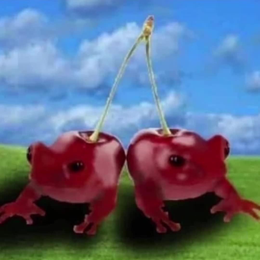 @weird side of internet