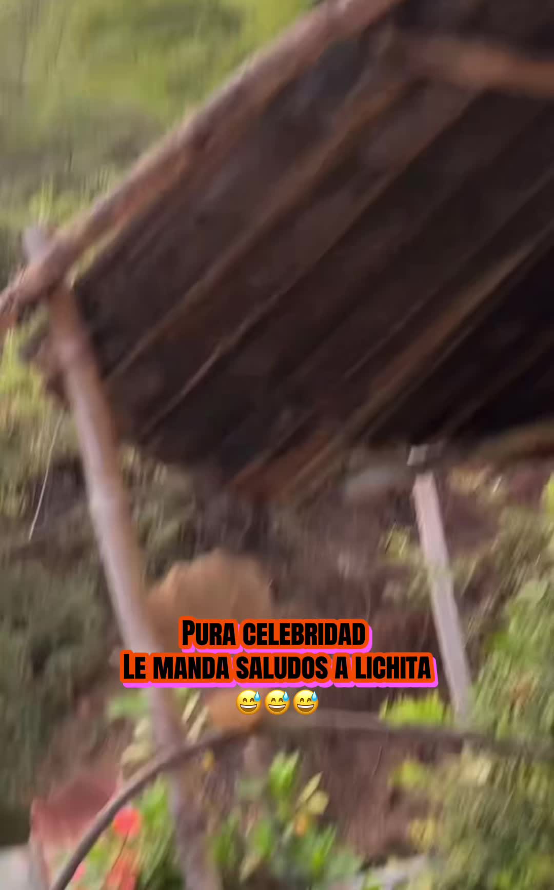 @marthahdos 🐮