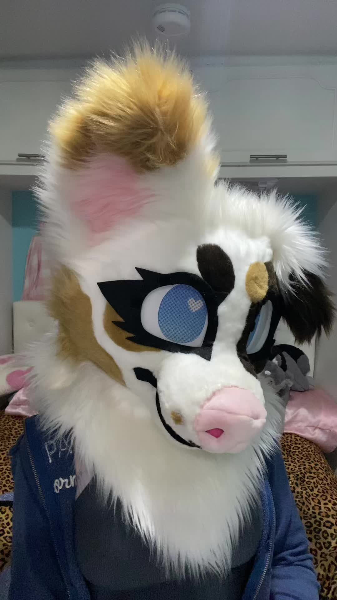 @🍓🐱