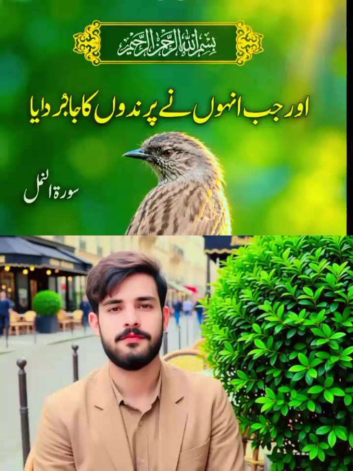 @بھٹی شہزادہ