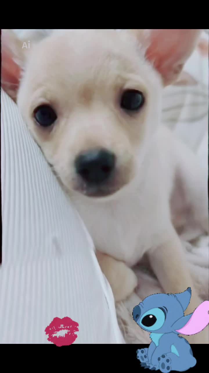 @๐บ๊ฅ๐บ ๐๐จ๐ฏ๐_๐๐ข๐ฑ๐ข ๐บ๊ฅ๐บ