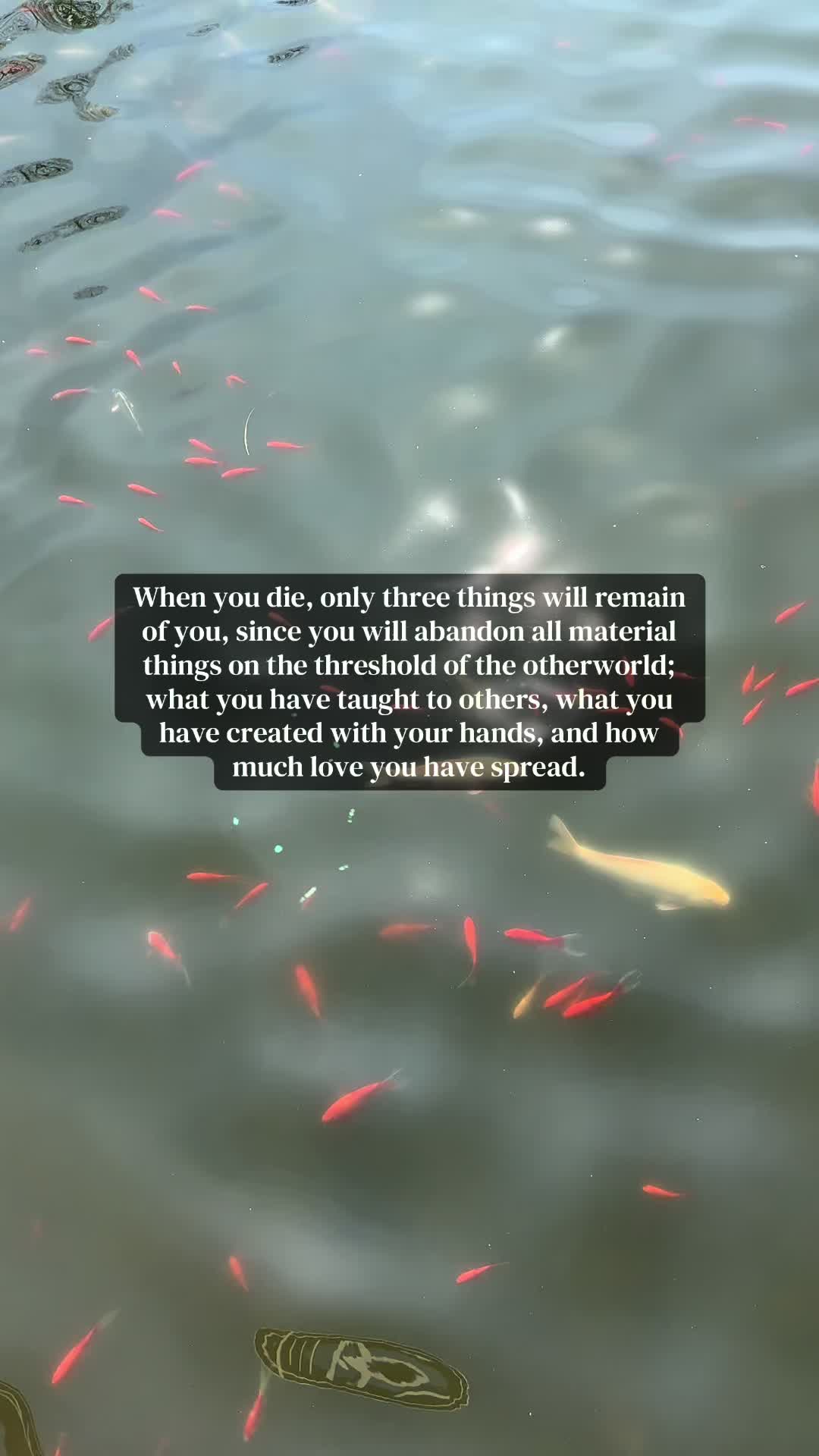 @sіძ ☮︎︎