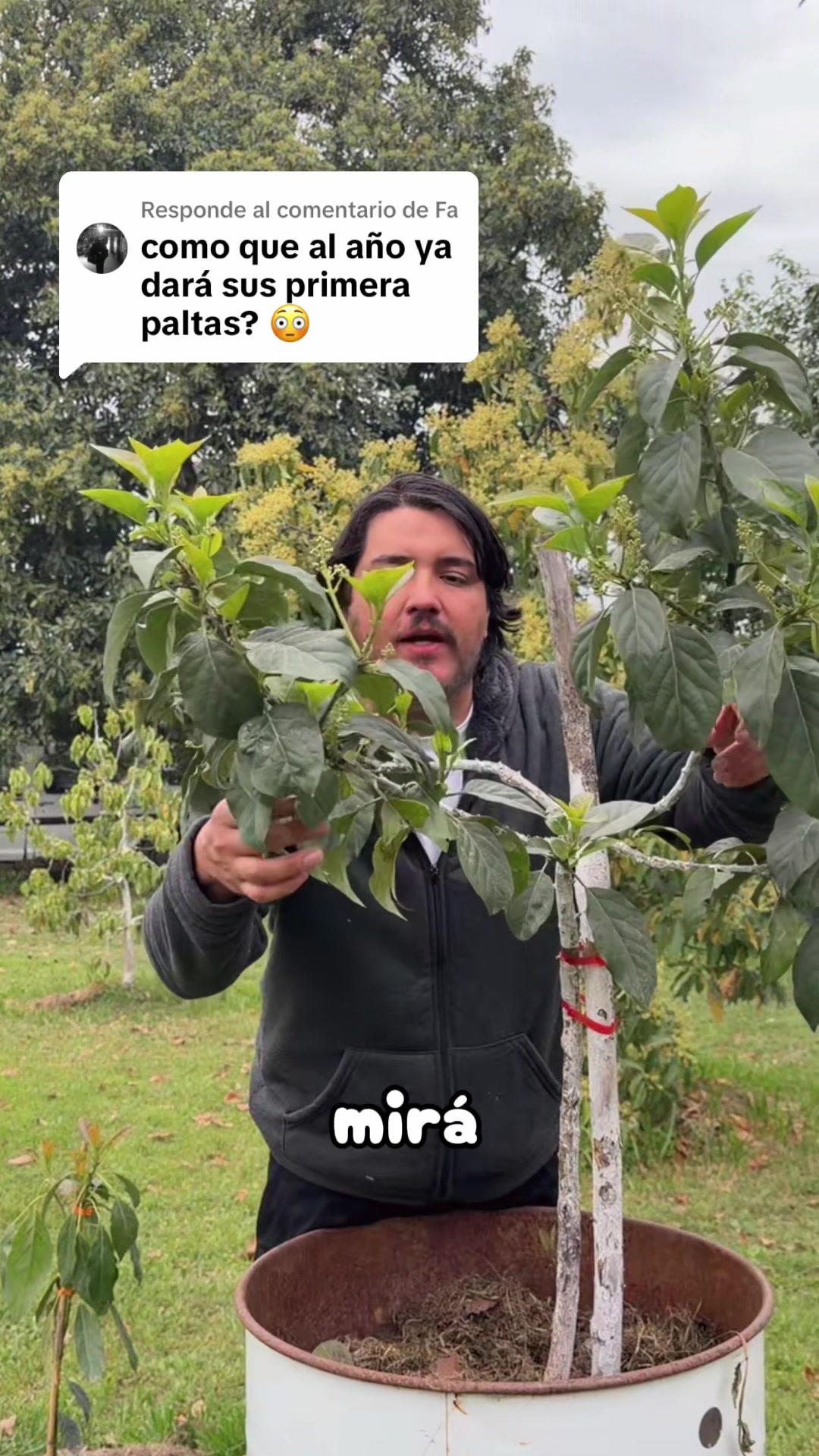 @Mr Kraus 🥑