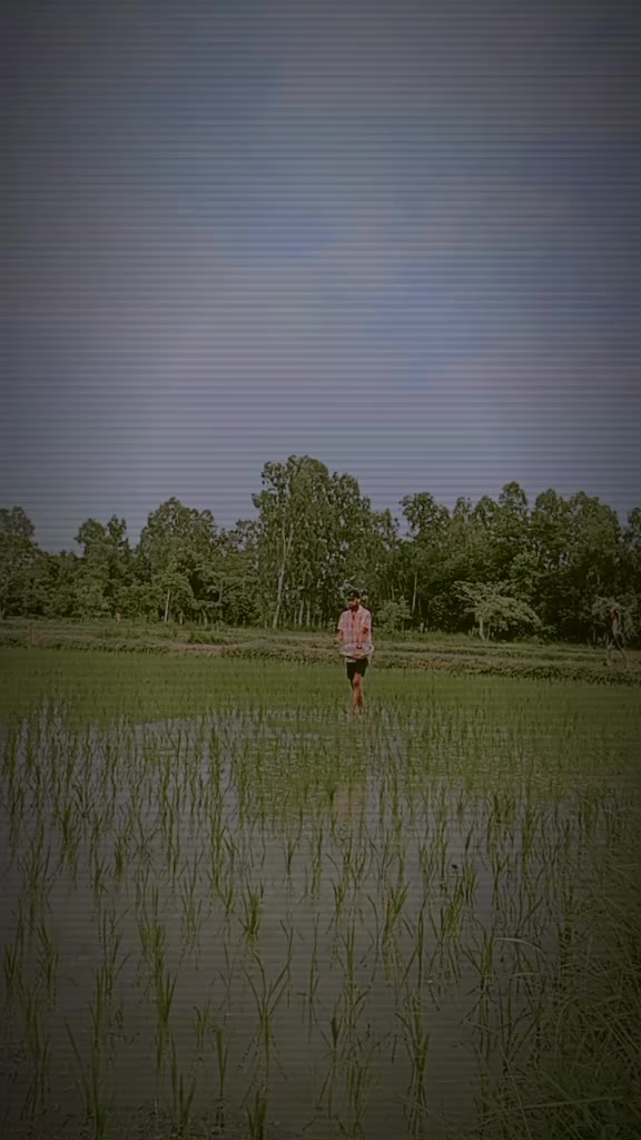 @Timro Maya
