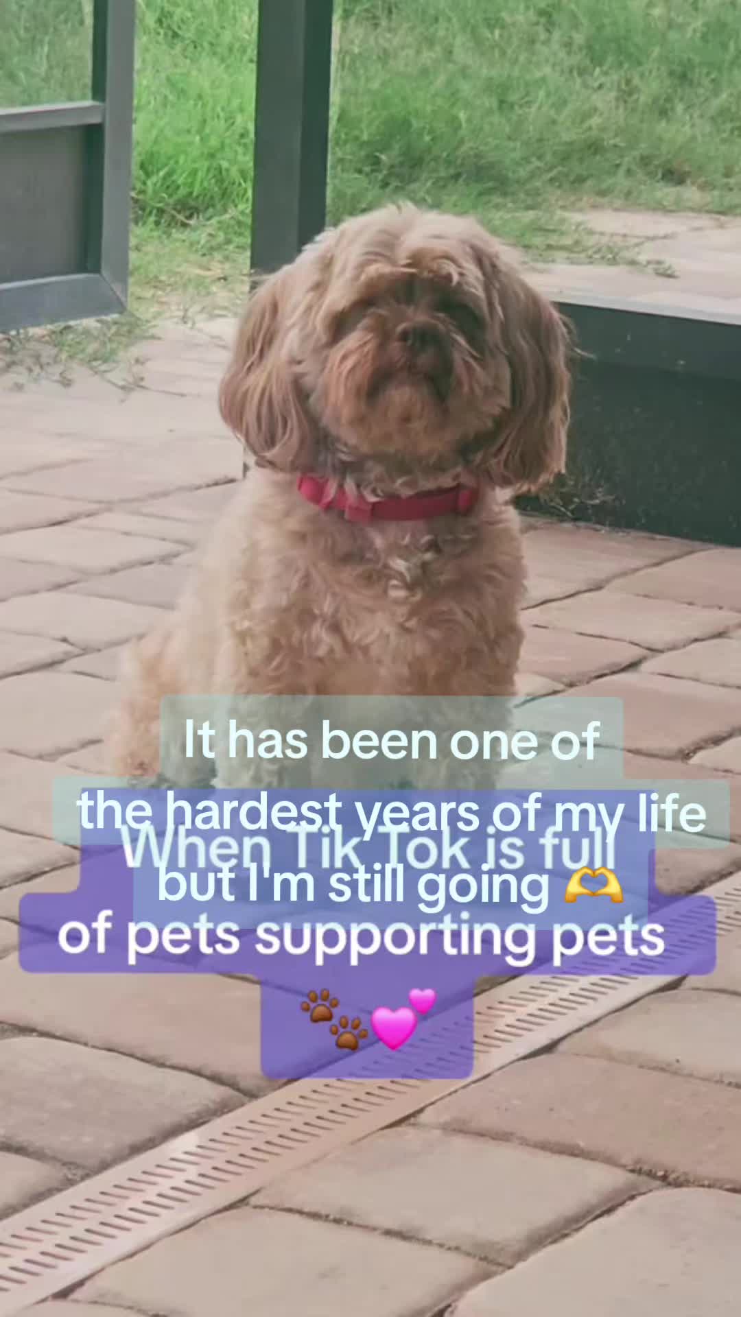 @FurMomLizz