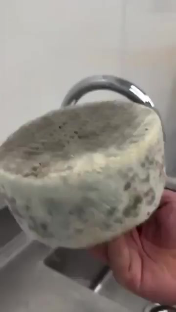 @Flex