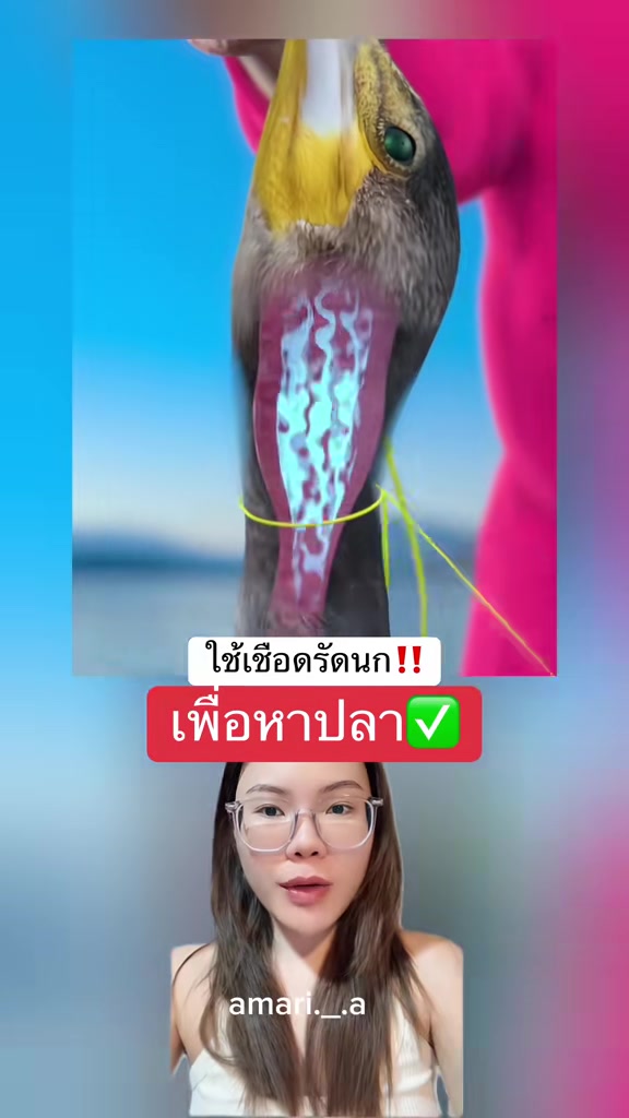 @amari._.a เล่าเรื่อง (2.7M)