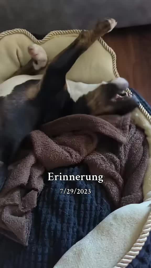 @DerJokerUndSeineFreunde