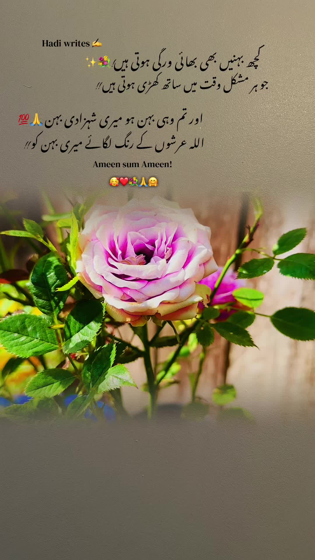 @Bhai Behen Quotes ✍️🥰🙏