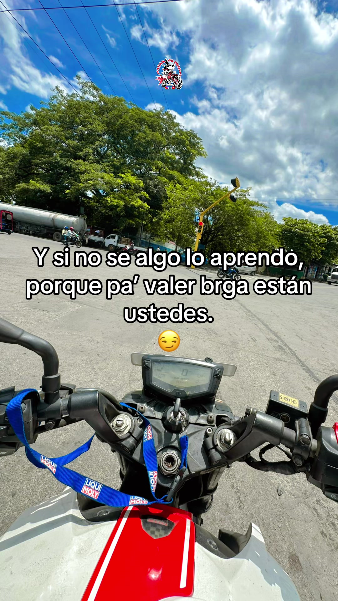 @Xavi Patasdeperro 🐾
