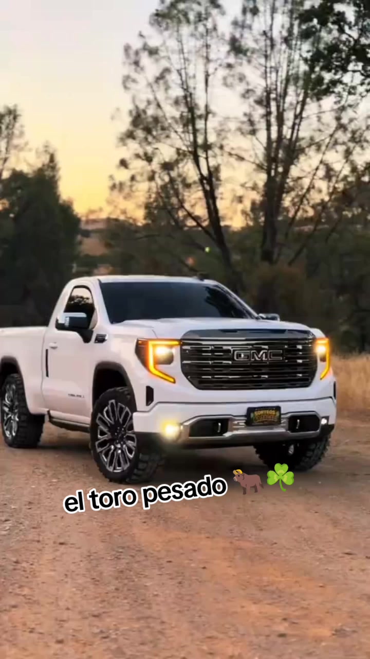 @el toro pesado 🐂☘️