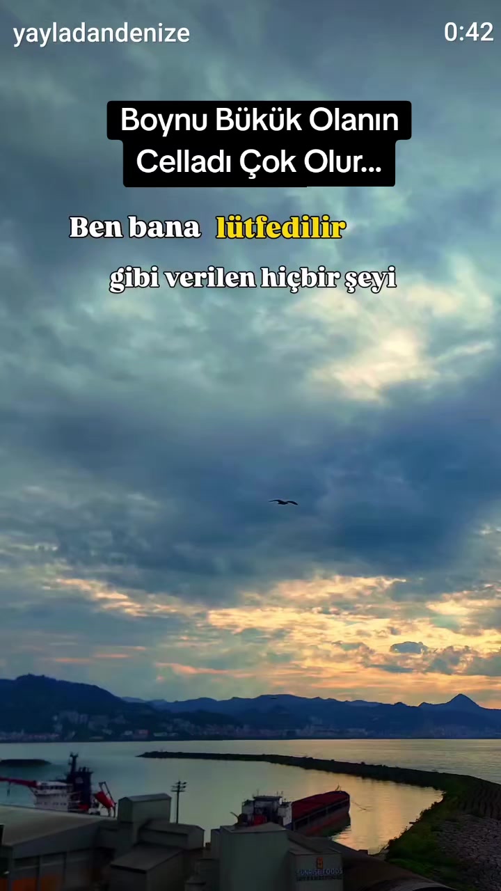 @hatice7366