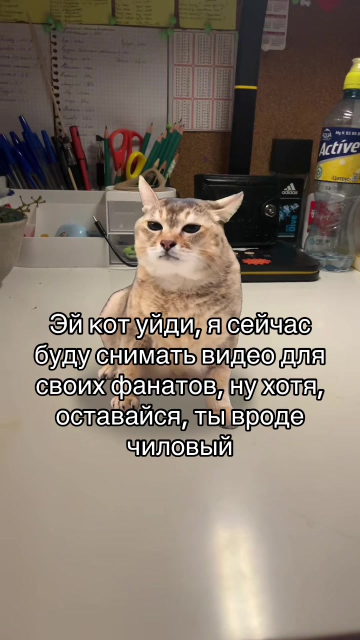 @Lynx