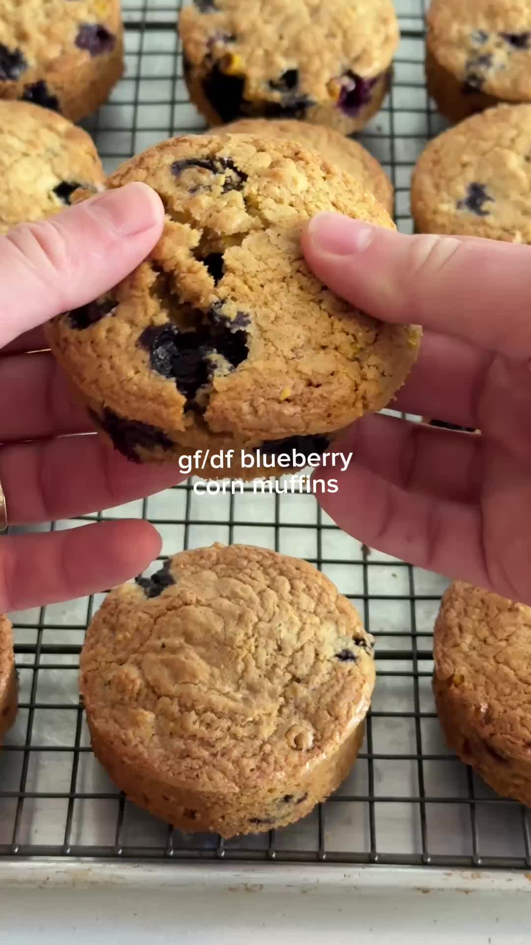 @juddhayne