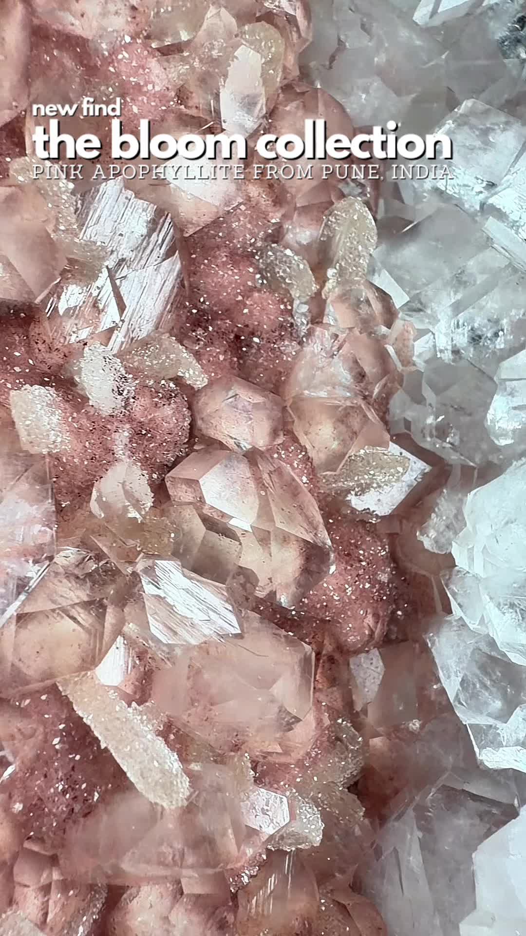 @Crystal Live Emporium✨Natalie