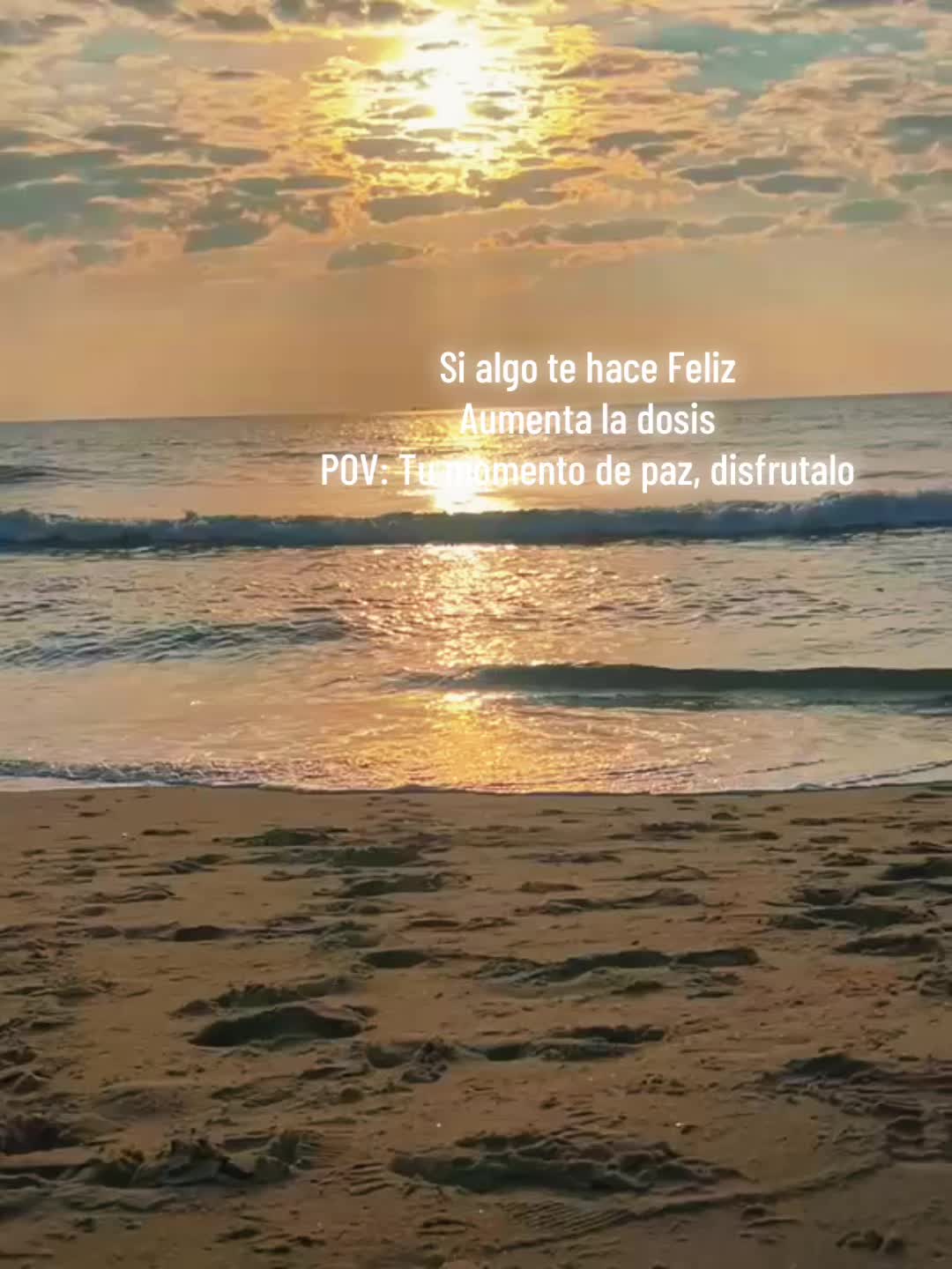 @Lucy Tobar 🖤