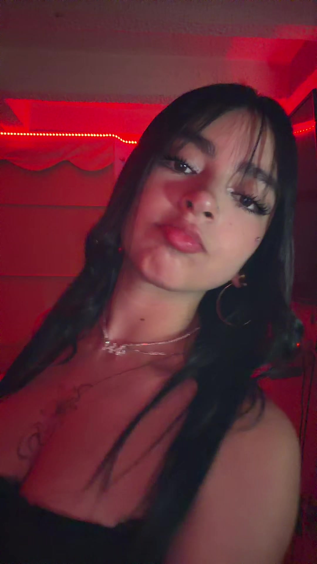 @Sofi 🐹