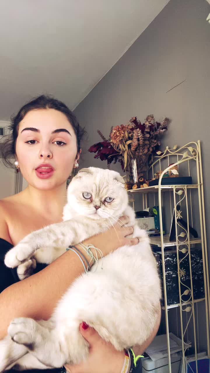 @henares