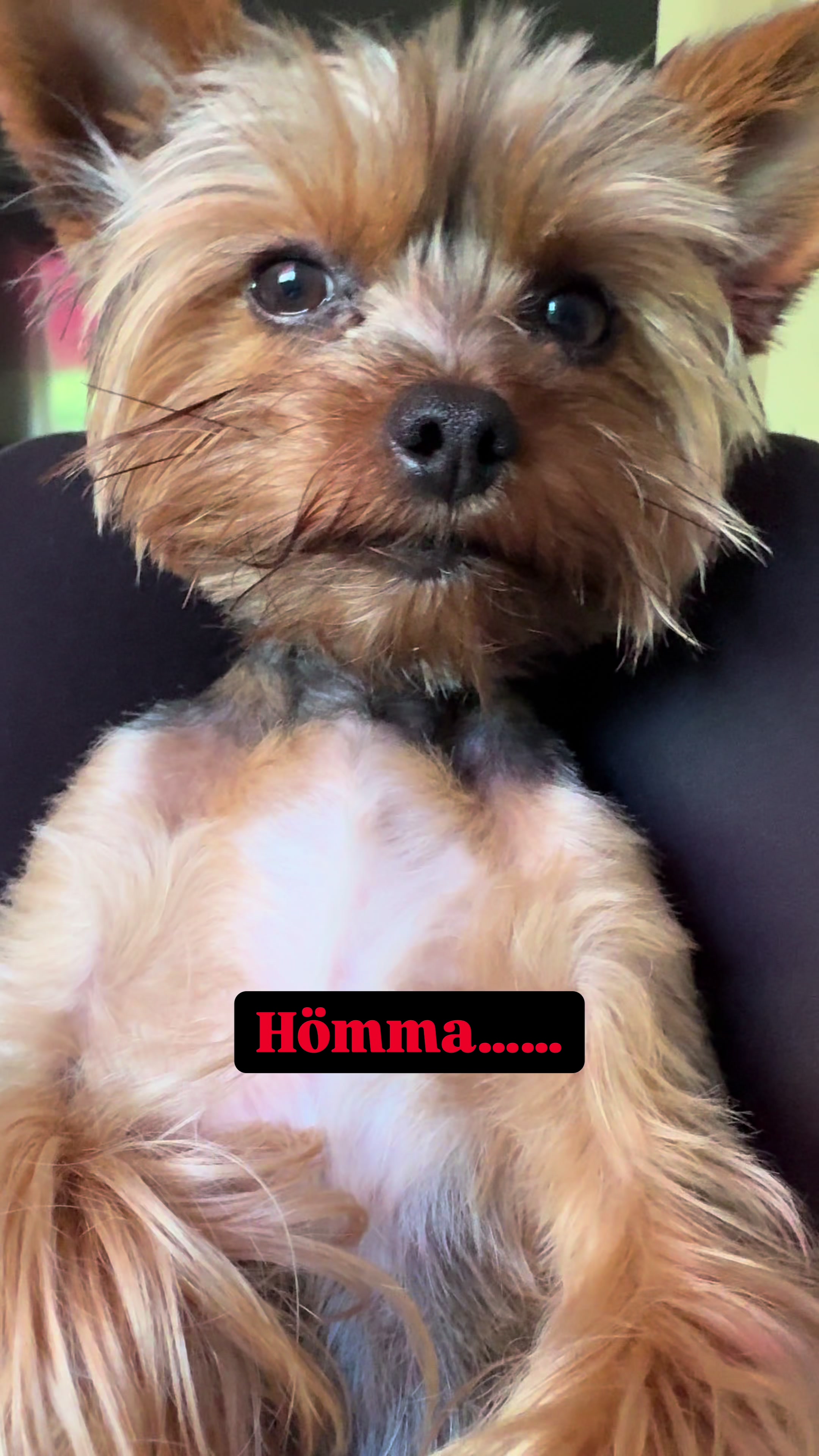 @teddyfromyork