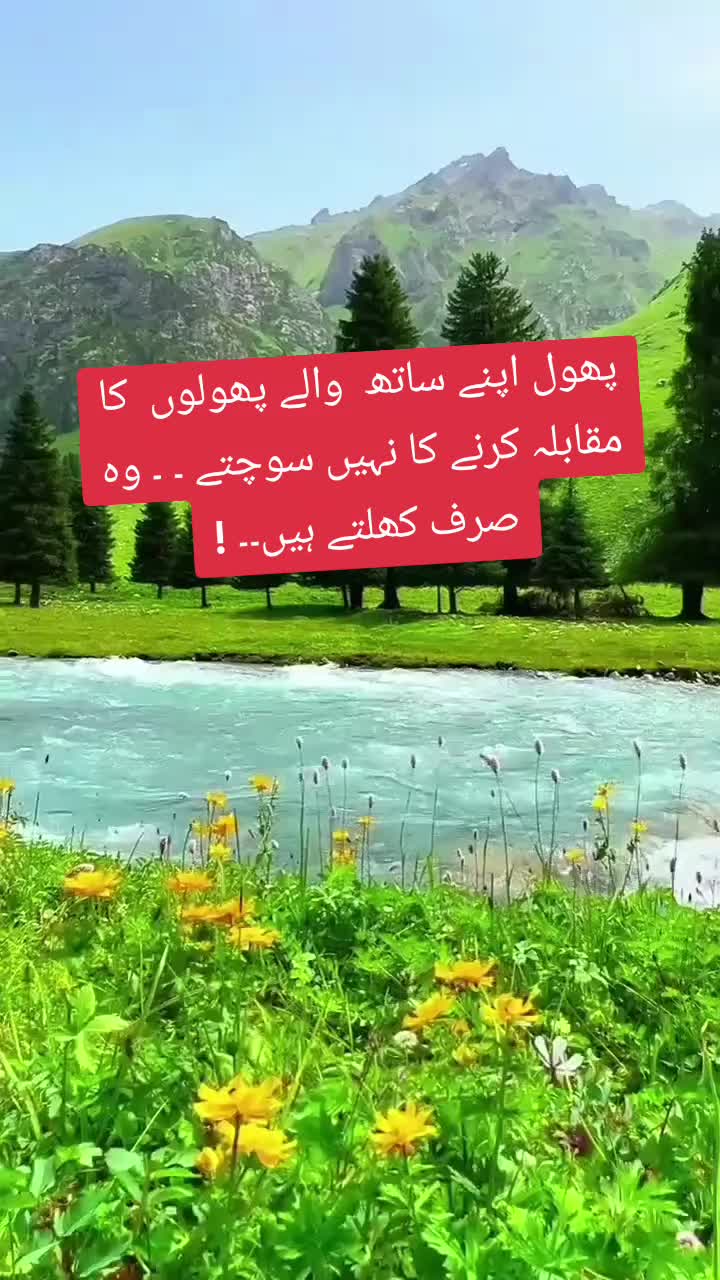 @Misses ALi Chaudry1