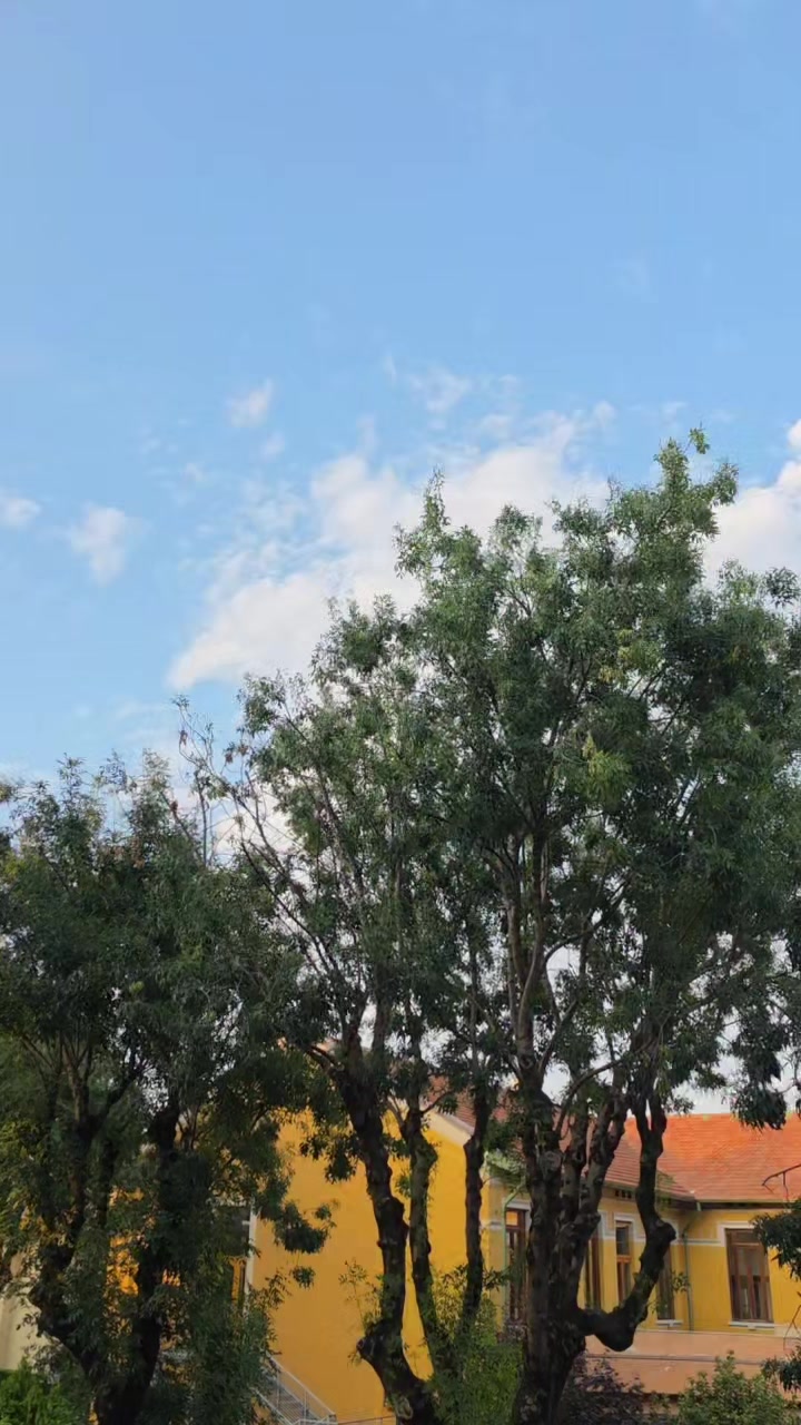 @𝑯𝑼𝑺𝑵𝑨𝑰𝑵 𝑫𝑯𝑰𝑳𝑶𝑾🦅