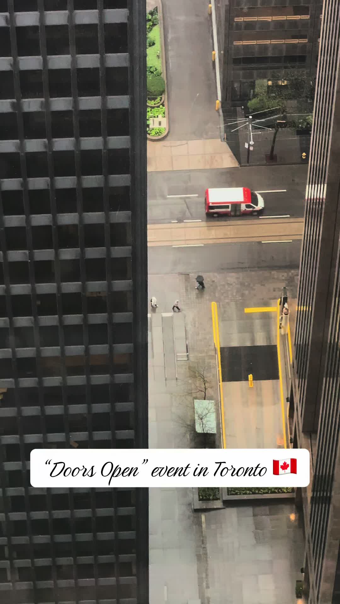 @Toronto Vibe🇨🇦