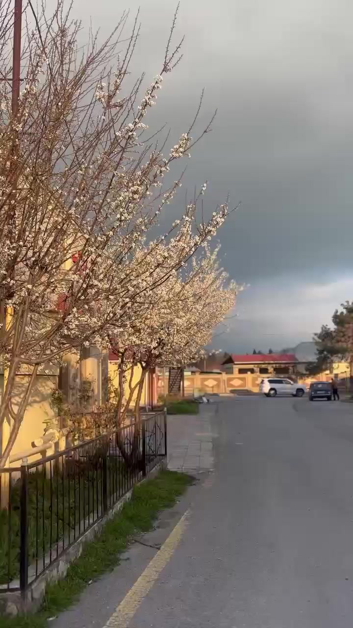 @🇦🇿