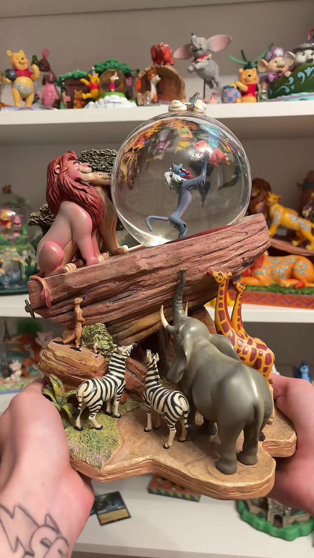 @The Magical Collector ✨️