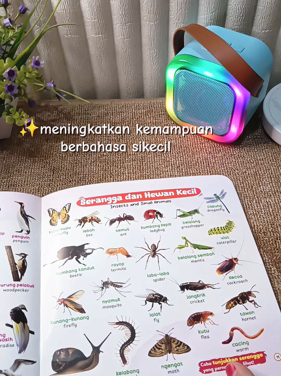 @KangPromo🫰