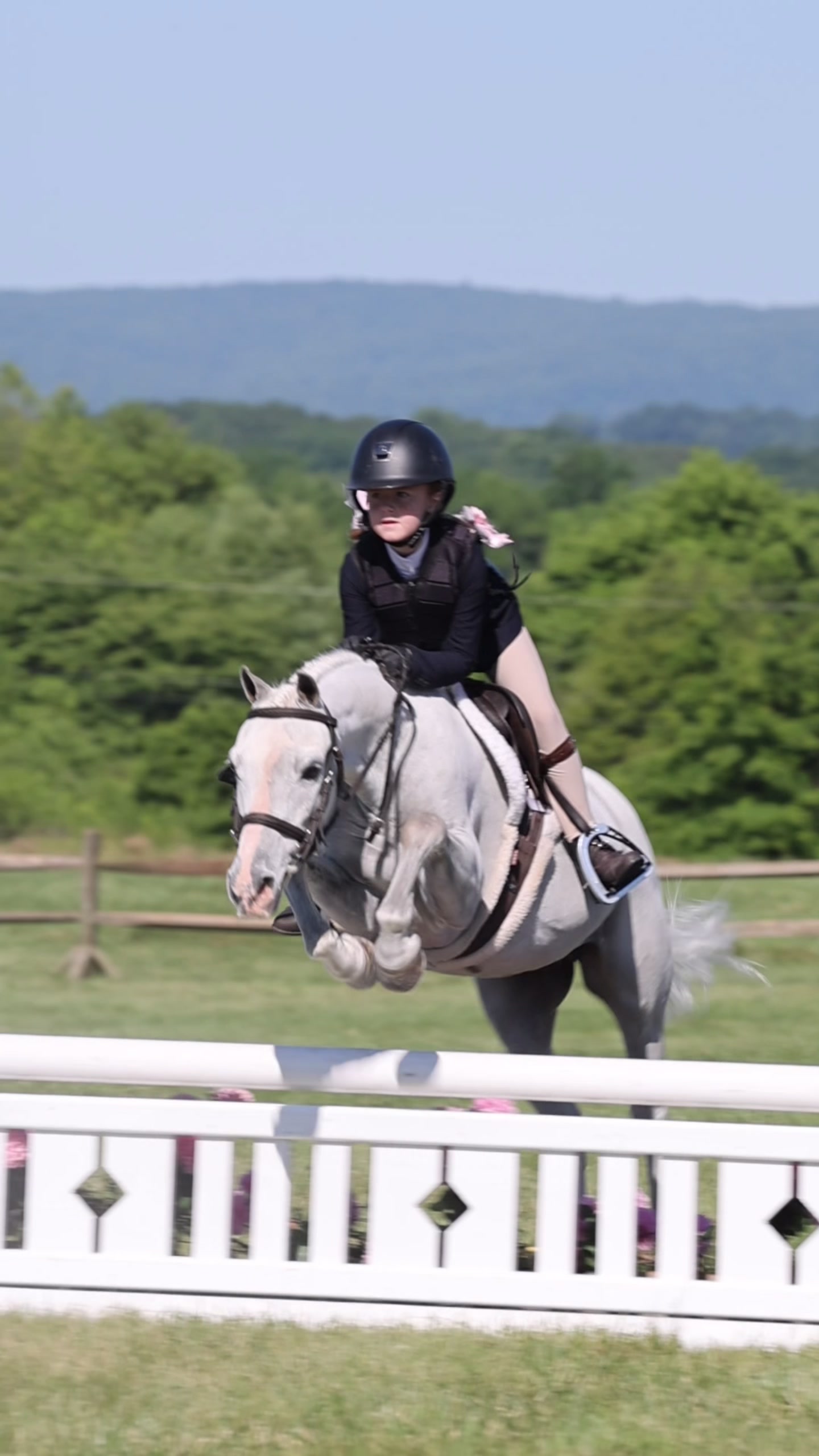 @ckponies