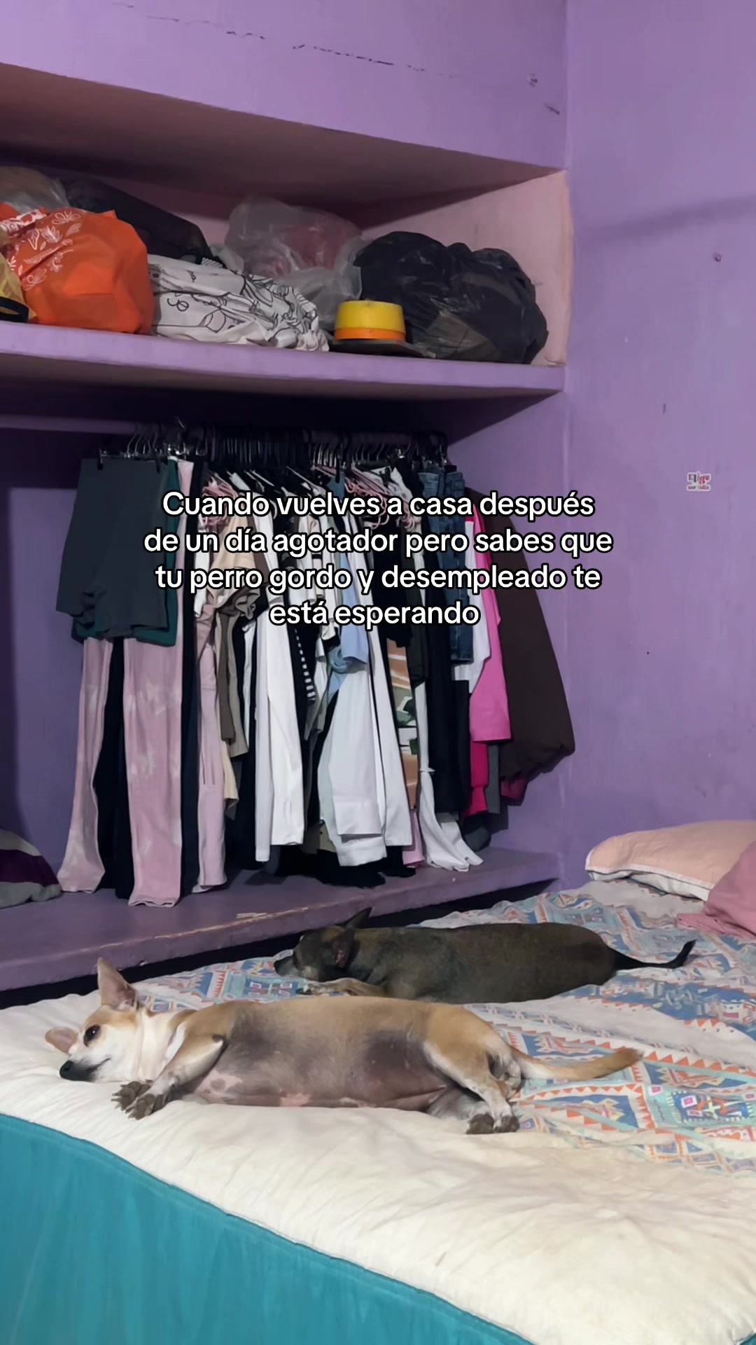 @Lea Sosa