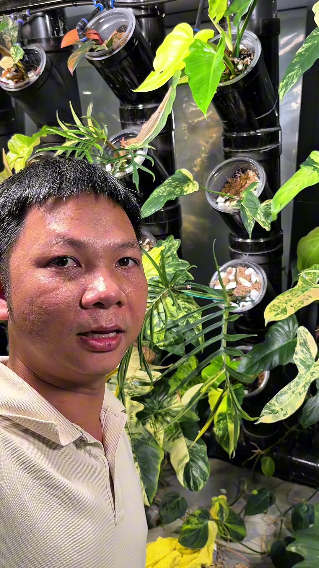 @Huy Kiểng Lá
