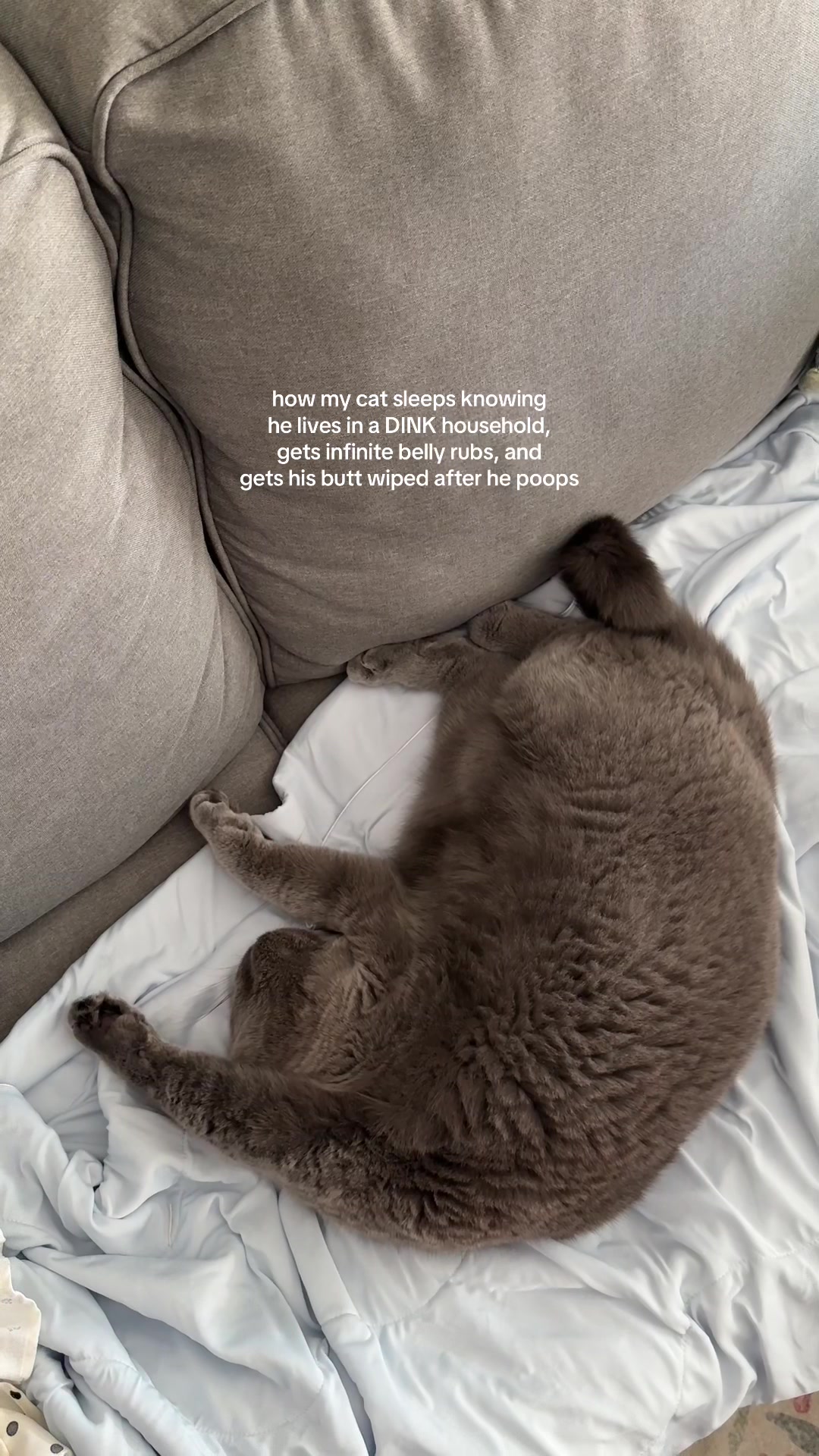 @vivz⁷⋆˚✿