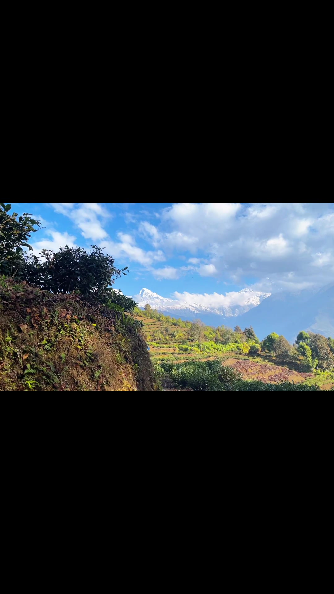 @थिँयाल 🌿