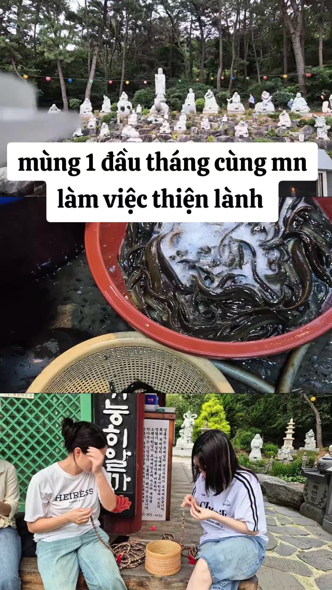 @vu thi tuong (ceohanmeryeo)