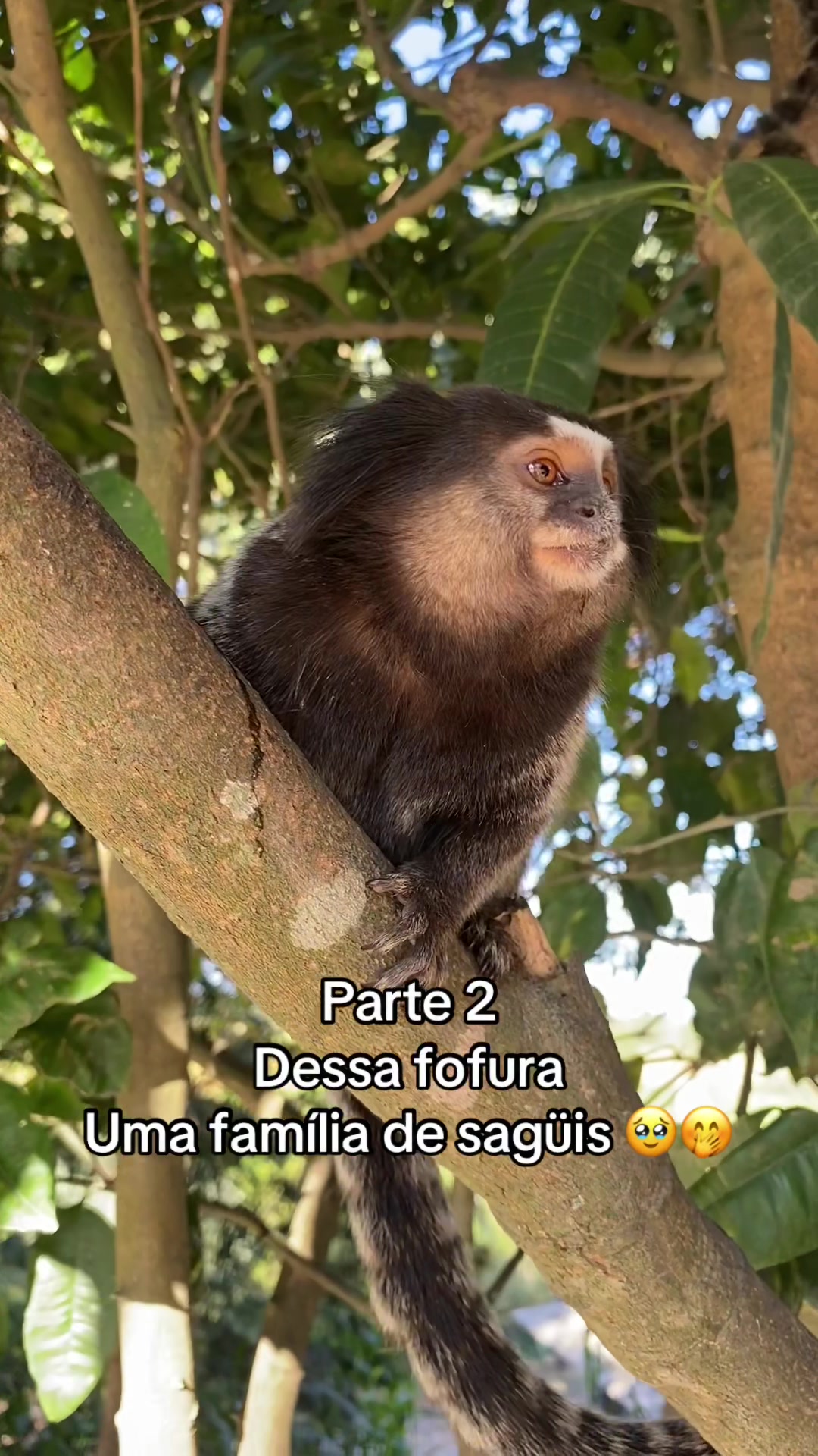 @Ariele Almeida