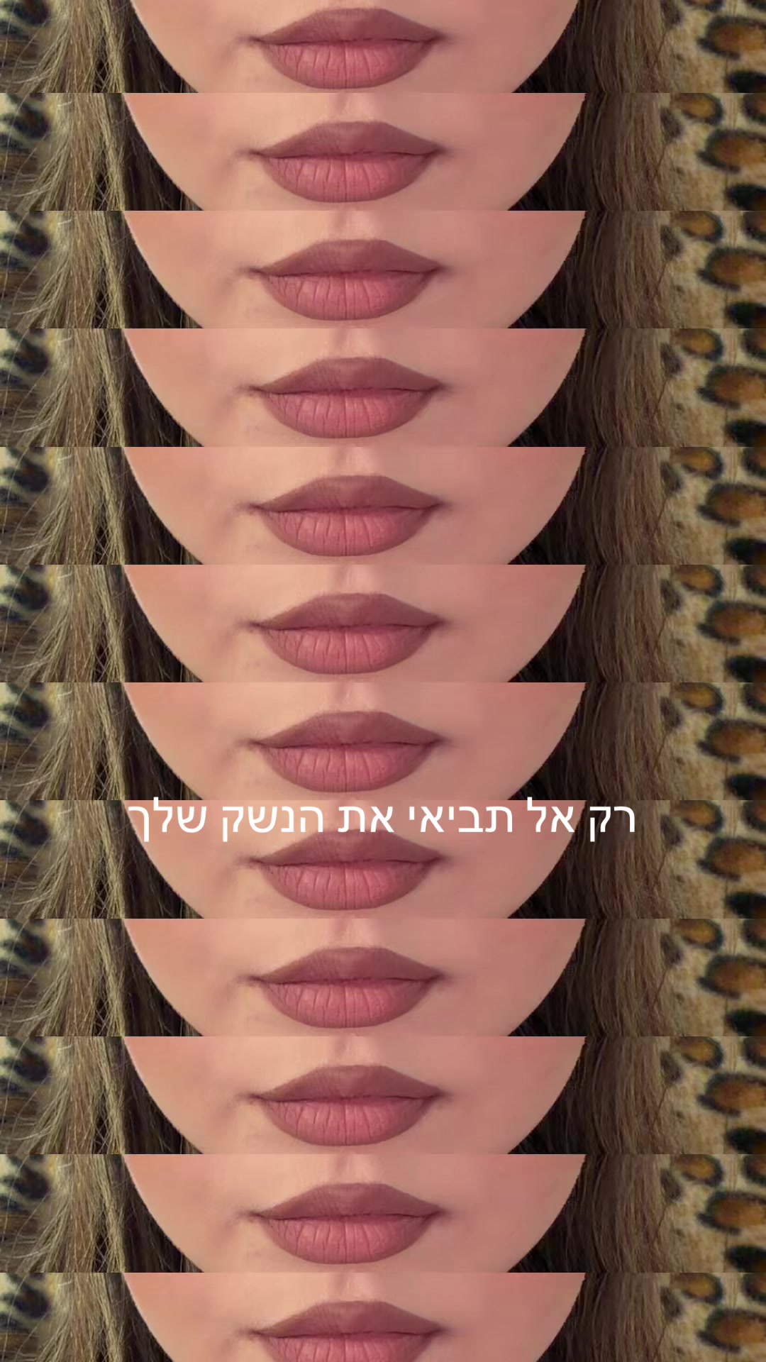 @שילתוש ❤️