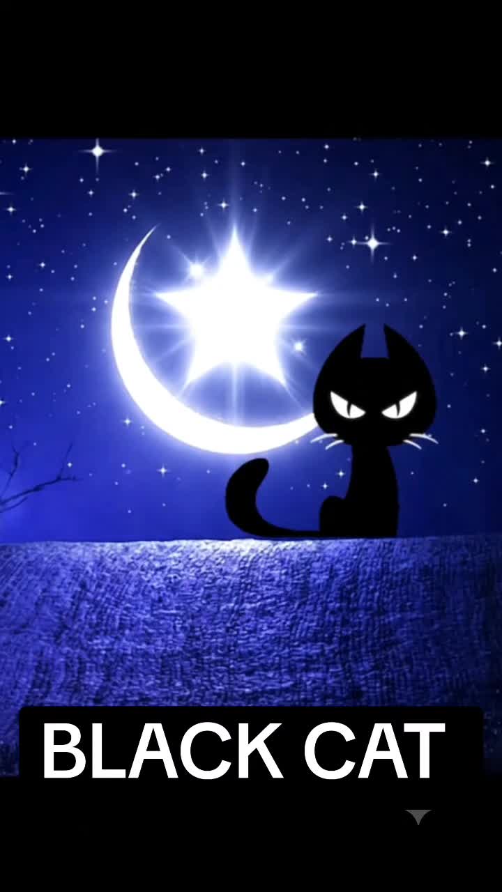 @KARA KEDI/BLACK CAT/ KATZE