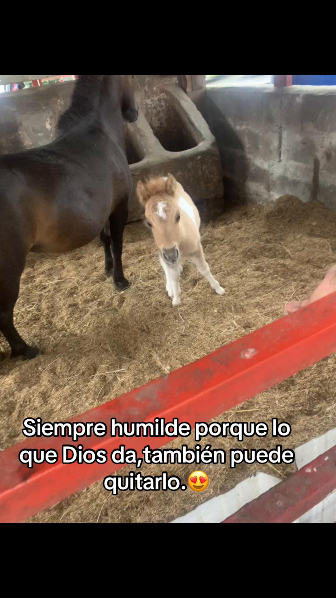 @leidyger🌺